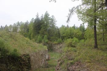  (© Luděk Vláčil, 05/2015)