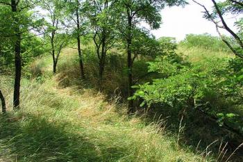 Příkop oddělující předhradí od jádra ( © Roman Řezáč 07/2004)