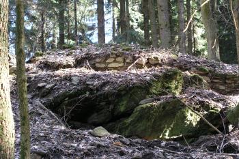 Zbytky tvrze Střítež (Nedržal) (© M. Semrád  04/2024)