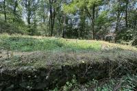 Vígľaš