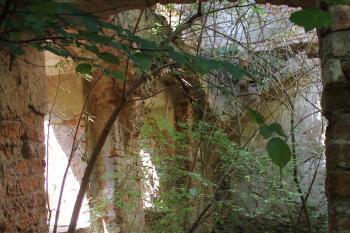  (© Luděk Vláčil  08/2024)