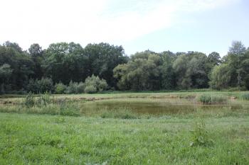 park (© Luděk Vláčil  08/2024)