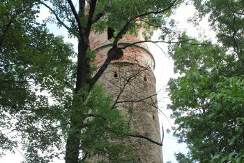  (© Luděk Vláčil  08/2024)