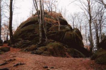 Skalní hrad - vrcholové plató (© Ilona Telaříková 07/2004)
