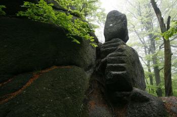 Spodní část tesaného přístupového schodiště (© Filip Matoušek 05/2012)