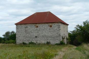 Tvrz v Dráchově (© Václav Hájek, 08/2008)