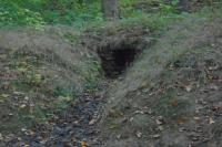 studánka Filipínka