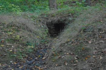 studánka Filipínka v zámeckém parku (© Jaroslav Špiroch  10/2024)