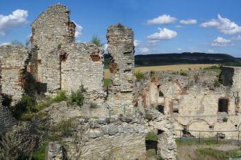 Košumberk - panorama (© Kamil Malát, 08/2008)