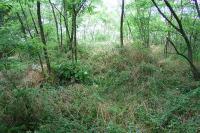 Dobřínsko