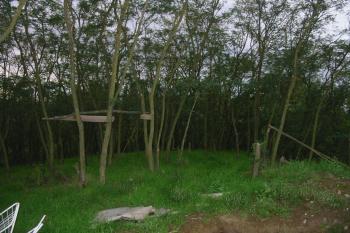 Plocha předhradí s komunikační funkci (© D Dohňanský, 09/2014)