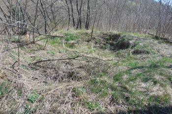 Vyvýšena záp. část předhradní plochy (© Dušan Dohňanský  04/2022)