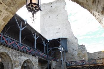  (© Milan Caha  07/2017)