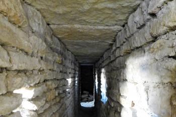  (© Milan Caha  07/2017)