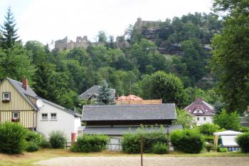  (© Zdeněk Susa, 07/2008)