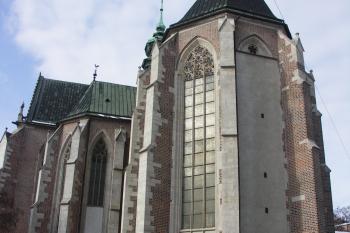  (© Karel Husák, 02/2009)
