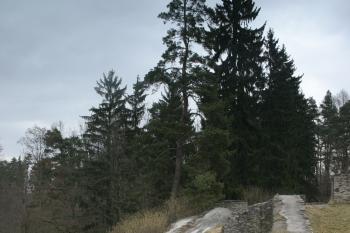  (© Václav Tomášek, 04/2009)