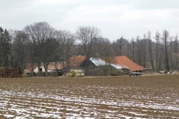 (© Milan Caha  03/2021)