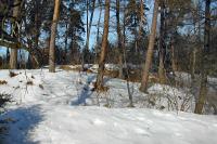 Závada