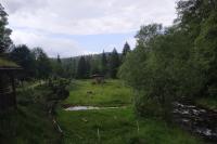 horská botanická zahrada