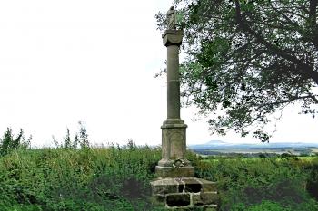 Mariánský sloup mezi obcemi Brocno a Chcebuz, místními části města Štětí. (© Pavel Vítek 09/2024)