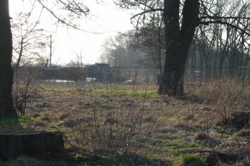 současný stav místa od východu (© D Dohňanský, 03/2015)