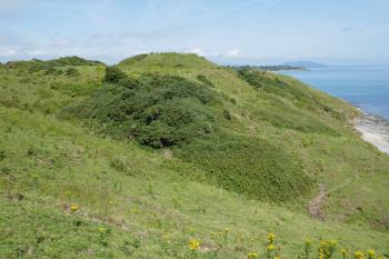  (© Pavel Semple 07/2024)