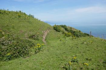  (© Pavel Semple 07/2024)