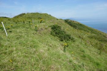  (© Pavel Semple 07/2024)