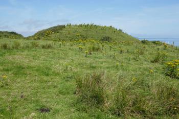  (© Pavel Semple 07/2024)