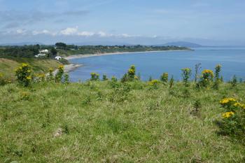  (© Pavel Semple 07/2024)