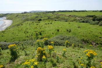  (© Pavel Semple 07/2024)