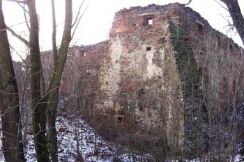 Tvrz ve Velké Polomi od severovýchodu ( © Jan P. Štěpánek 12/2007)