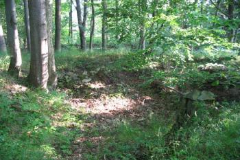 Střed tvrziště ( © Jiří Čížek 07/2004)