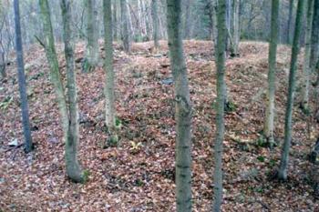  (© Jan Švejkar, 11/2007)