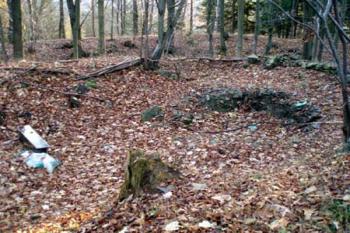  (© Jan Švejkar, 11/2007)