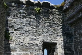  (© Pavel Semple 06/2024)