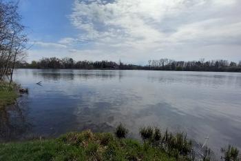 Jezero Poděbrady (© Ivo Rozehnal  04/2025)