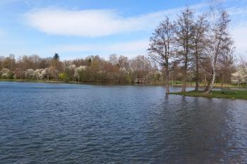 Jezero Poděbrady (© Ivo Rozehnal  04/2025)