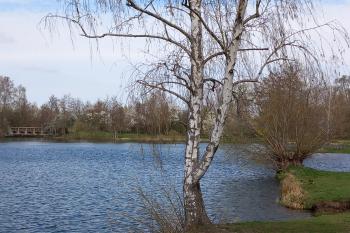 Jezero Poděbrady (© Ivo Rozehnal  04/2025)