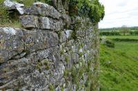 Kilmaclenine