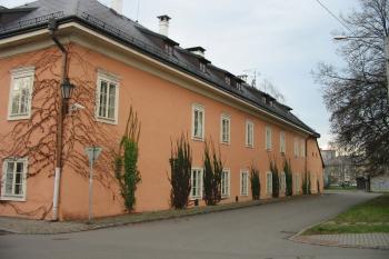 přírodní dekorace sv.křídla zámku (© D Dohňanský, 12/2014)