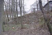 Květnice