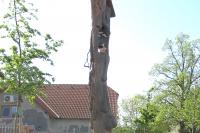 zvonička