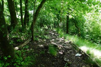 přístupová cesta ke kostelu (© Milan Caha  05/2025)