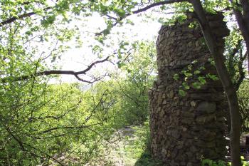  (© Michal Brůža, 04/2011)