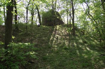  (© Michal Brůža, 04/2011)