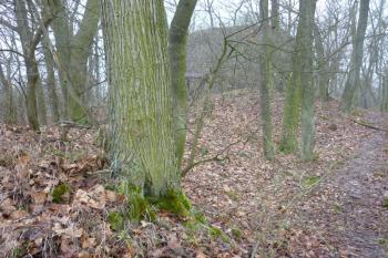 Palác, pohled k věži (© Jan Večeřa, 12/2015)