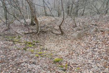 Zaoblení příkopu a valu na sz. (© Dušan Dohňanský  01/2022)