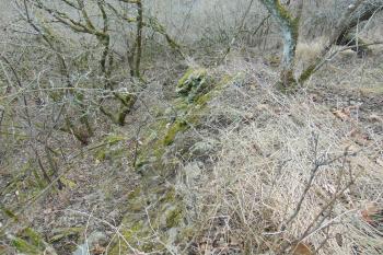 Jižní parkánová hradba (© Dušan Dohňanský  01/2022)